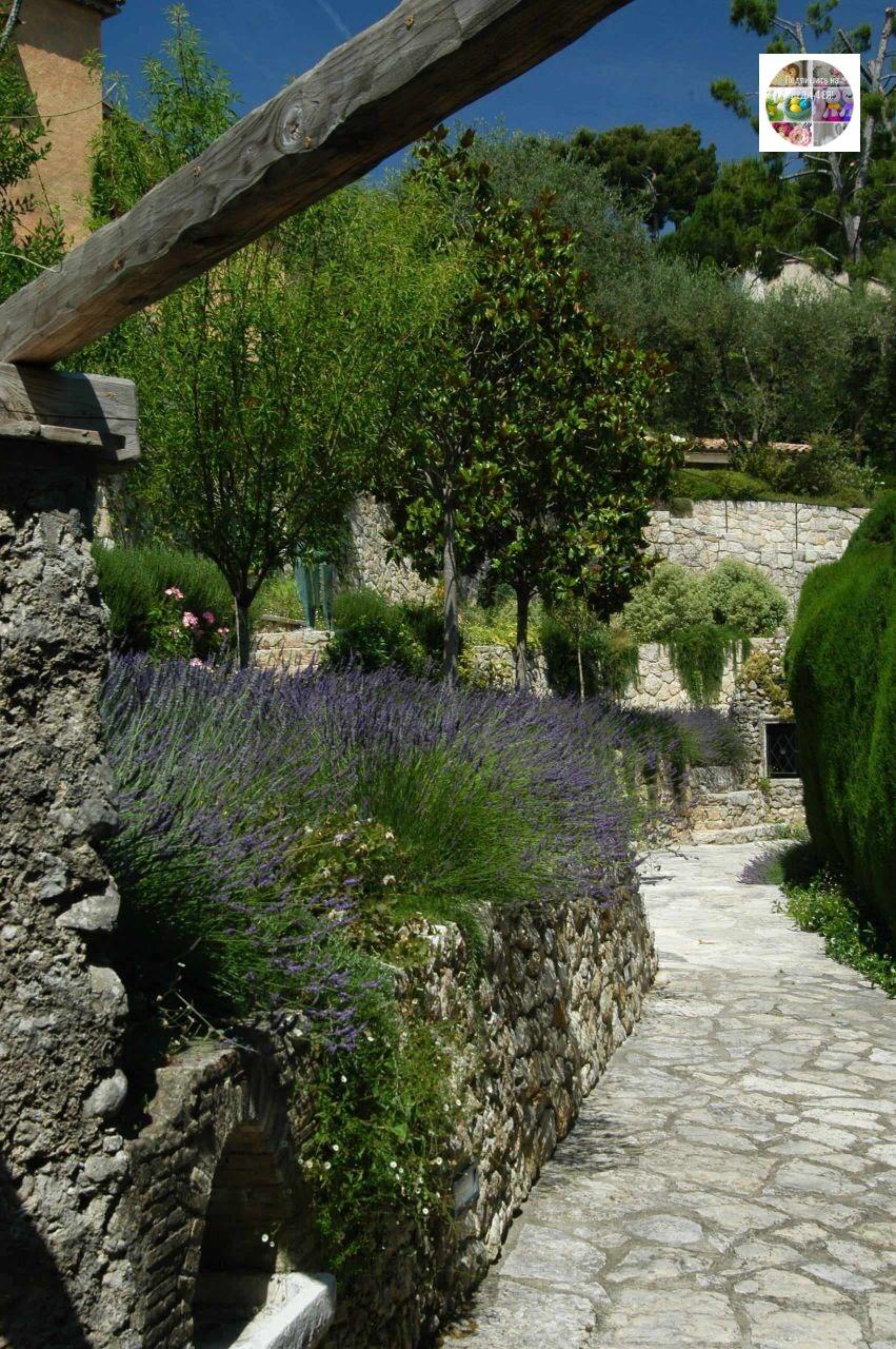 Сад в стиле Прованс