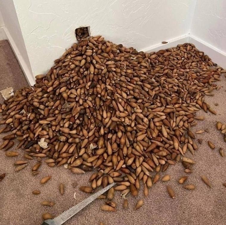 Невероятно, но факт