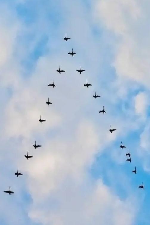 rumelo.ru - Рукоделие: Сделай сам.