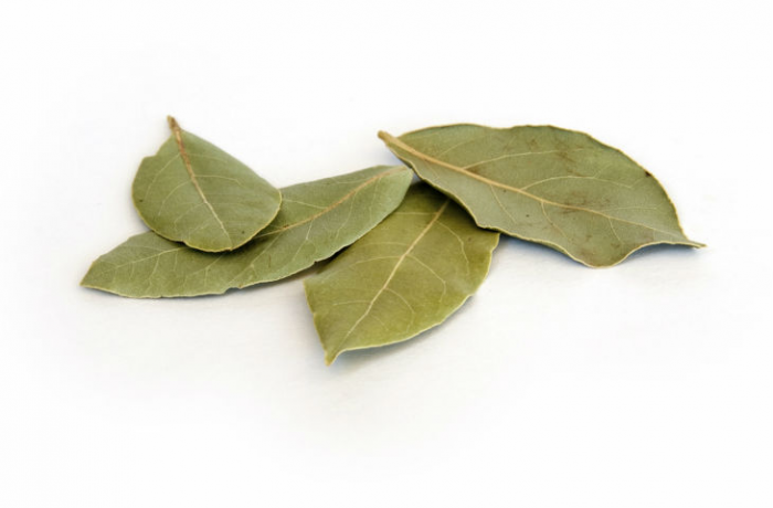 10 «секретных ингредиентов» шеф-поваров. Открываем новые возможности укропа и горчицы