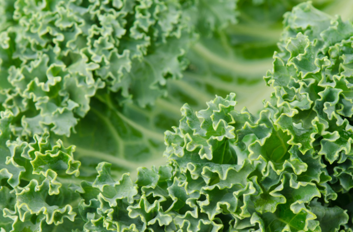 16 продуктов-будильников, которые будят не хуже кофе