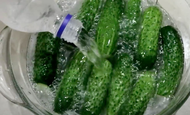 Заливаем огурцы минералкой и оставляем на сутки: малосольные и хрустят