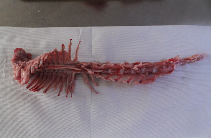 Как удалить из кролика все кости, сохранив цельной тушку