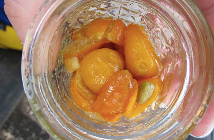 Что можно мариновать, кроме огурцов и помидоров