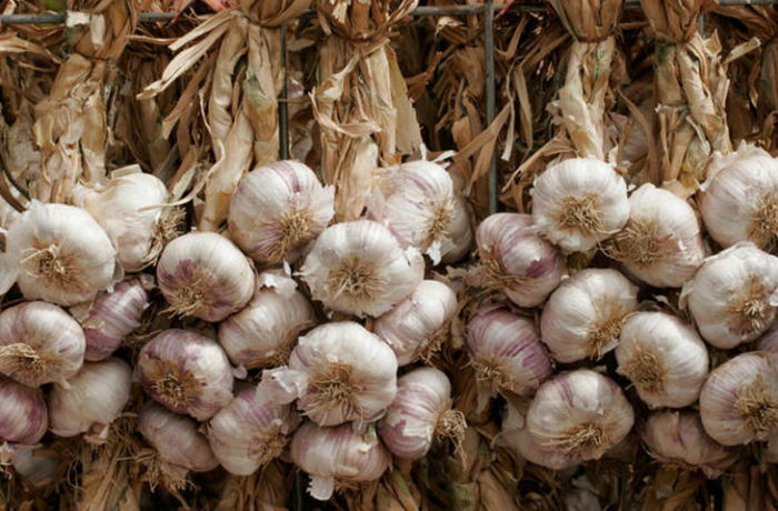 Почему нужно налегать на чеснок