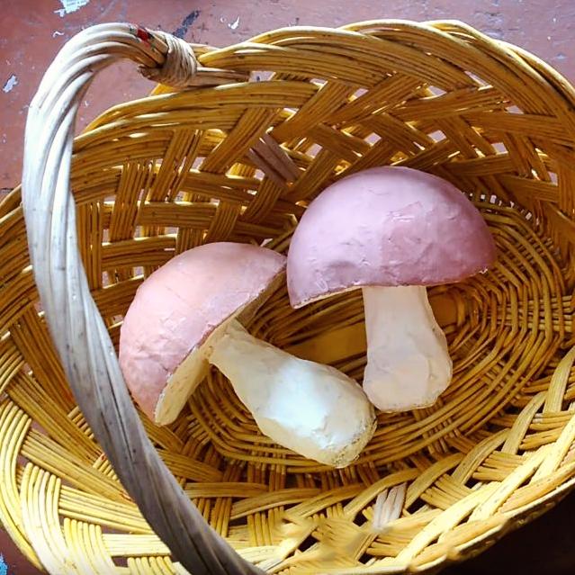 Грибы папье-маше своими руками. Мастер-классы