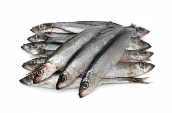 10 «секретных ингредиентов» шеф-поваров. Открываем новые возможности укропа и горчицы