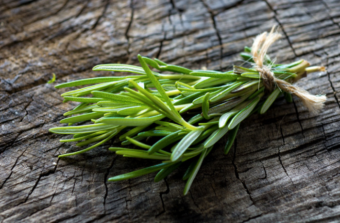 Скрытая польза розмарина