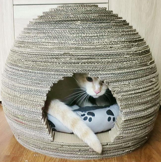 кошкин дом из картона своими руками мастер-классы